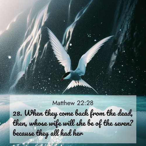 BBE Gospel of Matthew 22:28 overlaying nature image scene: Arctic terns dive through sea spray above turquoise glacial meltwater. Their white wings flash silver against obsidian cliffs.;28. When they come back from the dead, then, whose wife will she be of the seven? because they all had her.
