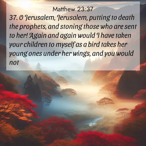 BBE Gospel of Matthew 23:37 overlaying nature image scene: Autumn mist rises from a valley dotted with red and gold maples.;37. O Jerusalem, Jerusalem, putting to death the prophets, and stoning those who are sent to her! Again and again would I have taken your children to myself as a bird takes her young ones under her wings, and you would not!