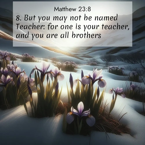 BBE Gospel of Matthew 23:8 overlaying nature image scene: Wild irises pierce winter's last snow. Alpine light sets their petals ablaze.;8. But you may not be named Teacher: for one is your teacher, and you are all brothers.
