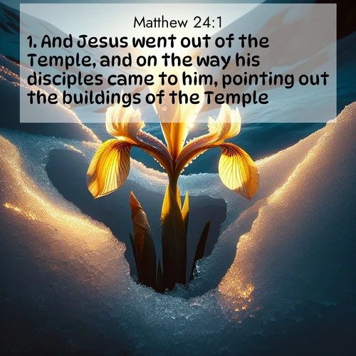 BasicEnglish Gospel of Matthew  ; image nature: image with the bible verse :And Jesus went out of the Temple, and on the way his disciples came to him, pointing out the buildings of the Temple. ; Dive into a gallery of Bible verses illustrated by tropical beach scenes, featuring sparkling waves, seashells, and radiant sunrises. These images evoke divine peace and joy. Download and share inspiring verses like KJV Gospel of Matthew 24:1. Current verse is overlayed with the thematic nature scene : Wild iris breaks through melting snow. Alpine light ignites its petals. ; 24:1