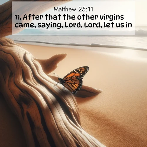 BasicEnglish Gospel of Matthew  ; image nature: image with the bible verse :After that the other virgins came, saying, Lord, Lord, let us in. ; Admire our gallery of Bible verse images paired with serene nature photography, featuring starlit skies, golden sands, and blooming wildflowers. Download and share verses like KJV Gospel of Matthew 25:11. Current verse is overlayed with the thematic nature scene : A single monarch butterfly alights on a sun-bleached driftwood log. Waves crash endlessly on the empty beach beyond. ; 25:11