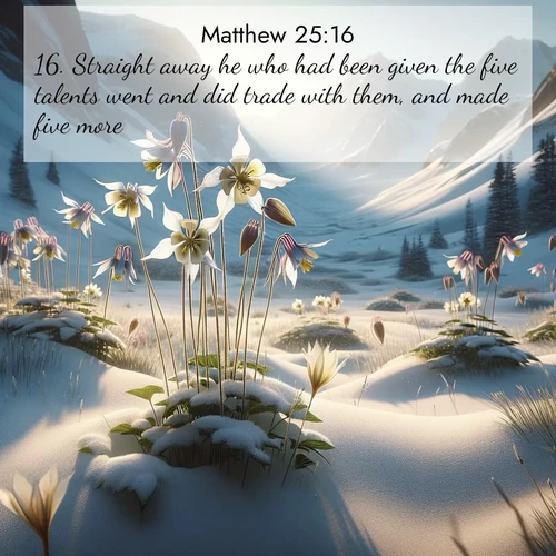 BasicEnglish Gospel of Matthew  ; image nature: image with the bible verse :Straight away he who had been given the five talents went and did trade with them, and made five more. ; Explore a collection of free Bible verse images paired with serene landscapes like golden beaches, verdant forests, and clear blue skies. Each image is ideal for desktop or phone wallpapers. Share verses like KJV Gospel of Matthew 25:16. Current verse is overlayed with the thematic nature scene : Wild columbines nod in alpine breeze. Glacier lilies dot snowy meadows. ; 25:16