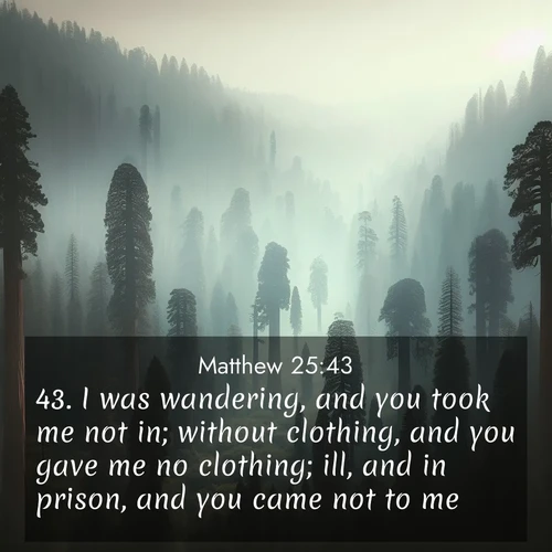 BasicEnglish Gospel of Matthew  ; image nature: image with the bible verse :I was wandering, and you took me not in; without clothing, and you gave me no clothing; ill, and in prison, and you came not to me. ; Admire our autumnal collection of Bible verse images accompanied by photos of paths lined with red and yellow leaves, fiery forests, and calm rivers. These images inspire reflection and serenity. Share verses like KJV Gospel of Matthew 25:43. Current verse is overlayed with the thematic nature scene : Ancient sequoias pierce through valley fog. Centuries of growth reach for filtered light. ; 25:43