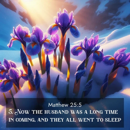 BasicEnglish Gospel of Matthew  ; image nature: image with the bible verse :Now the husband was a long time in coming, and they all went to sleep. ; Discover Bible images illustrated by desert landscapes, like sand dunes, majestic rocks, and starry skies. These images symbolize the grandeur and immensity of God&#039;s creation. Download verses like KJV Gospel of Matthew 25:5. Current verse is overlayed with the thematic nature scene : Wild iris blooms pierce through melting snow. Alpine sunlight ignites their petals. ; 25:5