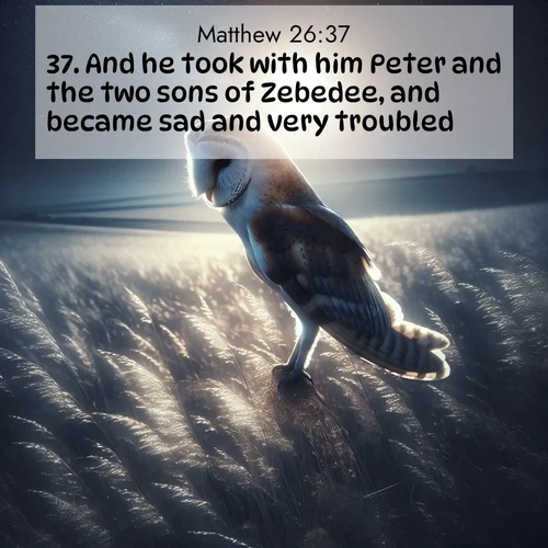 BasicEnglish Gospel of Matthew  ; image nature: image with the bible verse :And he took with him Peter and the two sons of Zebedee, and became sad and very troubled. ; Dive into our collection of Bible verse images combined with sublime nature photos, such as graceful waterfalls, radiant sunsets, and endless meadows. These compositions highlight the peace and harmony of God&#039;s creation with vivid colors and carefully integrated text. Download and share verses like KJV Gospel of Matthew 26:37. Current verse is overlayed with the thematic nature scene : A barn owl quarters silent fields. Moonlight turns meadow grass to silver. ; 26:37