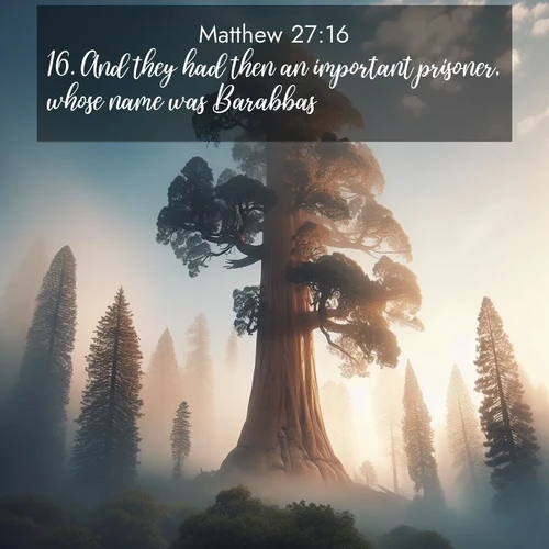 BasicEnglish Gospel of Matthew  ; image nature: image with the bible verse :And they had then an important prisoner, whose name was Barabbas. ; Browse a vast collection of Bible verse images featuring awe-inspiring landscapes such as calm lakes, vibrant sunsets, and peaceful fields. Download them for free and enjoy verses like KJV Gospel of Matthew 27:16. Current verse is overlayed with the thematic nature scene : A giant sequoia reaches through morning fog. Centuries of growth stretch skyward in silent majesty. ; 27:16