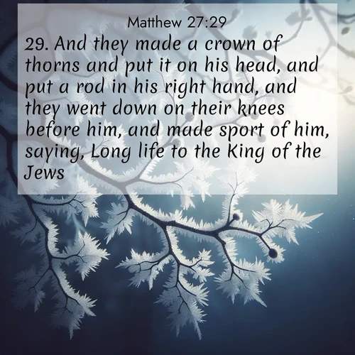 BasicEnglish Gospel of Matthew  ; image nature: image with the bible verse :And they made a crown of thorns and put it on his head, and put a rod in his right hand, and they went down on their knees before him, and made sport of him, saying, Long life to the King of the Jews. ; Dive into our collection of Bible verses paired with coastal scenes, featuring calming waves, infinite beaches, and reflections of the sun on the water. These images evoke the peace and beauty of God. Share verses like KJV Gospel of Matthew 27:29. Current verse is overlayed with the thematic nature scene : Winter frost coats bare branches in delicate crystal. ; 27:29