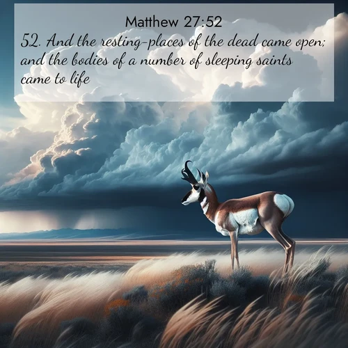 BasicEnglish Gospel of Matthew  ; image nature: image with the bible verse :And the resting-places of the dead came open; and the bodies of a number of sleeping saints came to life; ; Browse a gallery of Bible verses paired with summer scenes, such as golden wheat fields, bright skies, and sunny beaches. These images convey the joy and warmth of God&#039;s creation. Download and share verses like KJV Gospel of Matthew 27:52. Current verse is overlayed with the thematic nature scene : A pronghorn pauses on wind-swept plains. Storm clouds build dark towers above. ; 27:52