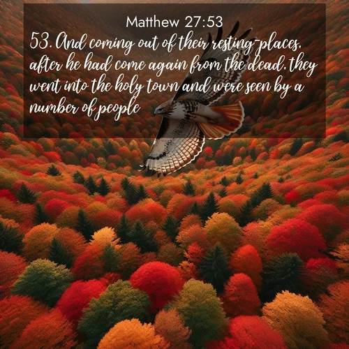 BasicEnglish Gospel of Matthew  ; image nature: image with the bible verse :And coming out of their resting-places, after he had come again from the dead, they went into the holy town and were seen by a number of people. ; Explore a winter collection of Bible verse images adorned with photos of icy landscapes, frozen waterfalls, and snow-covered forests. These scenes capture divine tranquility and purity. Download inspiring verses like KJV Gospel of Matthew 27:53. Current verse is overlayed with the thematic nature scene : A red-tailed hawk circles above autumn woods. Leaves below form a mosaic of fire. ; 27:53