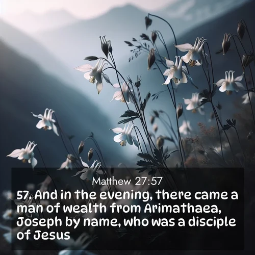BasicEnglish Gospel of Matthew  ; image nature: image with the bible verse :And in the evening, there came a man of wealth from Arimathaea, Joseph by name, who was a disciple of Jesus: ; Dive into our collection of Bible verse images beautifully illustrated with beach photos, featuring gentle waves, sunsets over the sea, and sandy shores. These scenes evoke the peace and majesty of God. Download and share inspiring verses like KJV Gospel of Matthew 27:57. Current verse is overlayed with the thematic nature scene : Wild columbines dance in breeze. Mountain air carries their perfume. ; 27:57