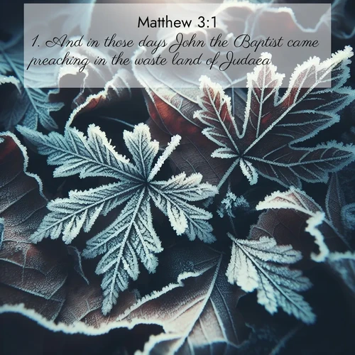 BasicEnglish Gospel of Matthew  ; image nature: image with the bible verse :And in those days John the Baptist came preaching in the waste land of Judaea, ; Explore a gallery of beautiful Bible verse images with tranquil natural settings—perfect for phone backgrounds or inspirational posts. Download your favorite verses like KJV Gospel of Matthew 3:1 today. Current verse is overlayed with the thematic nature scene : Winter frost creates delicate patterns on fallen leaves. ; 3:1