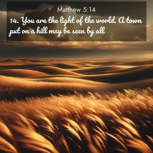 BBE Gospel of Matthew 5:14 overlaying nature image scene: Prairie grass waves like a golden ocean. Storm clouds build towers on the horizon.;14. You are the light of the world. A town put on a hill may be seen by all.