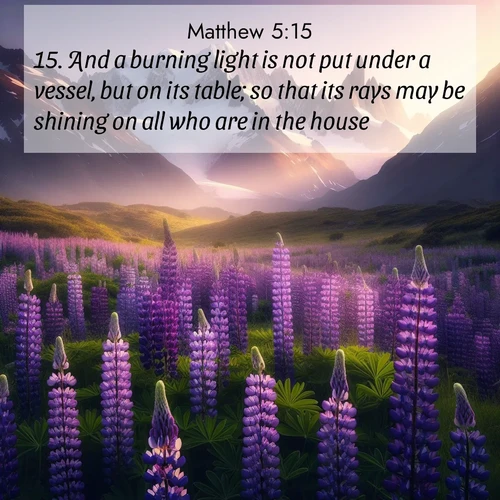 BasicEnglish Gospel of Matthew  ; image nature: image with the bible verse :And a burning light is not put under a vessel, but on its table; so that its rays may be shining on all who are in the house. ; Dive into our collection of Bible verses paired with coastal scenes, featuring calming waves, infinite beaches, and reflections of the sun on the water. These images evoke the peace and beauty of God. Share verses like KJV Gospel of Matthew 5:15. Current verse is overlayed with the thematic nature scene : Wild lupines paint mountain meadows purple. Snow lingers on distant peaks. ; 5:15