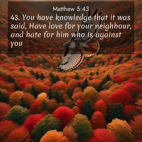 BasicEnglish Gospel of Matthew  ; image nature: image with the bible verse :You have knowledge that it was said, Have love for your neighbour, and hate for him who is against you: ; Explore an exceptional collection of Bible verse images accompanied by photos of nature, showcasing snowy mountains, serene forests, and still lakes. These images feature luminous tones and varied fonts to bring serenity and inspiration. Share uplifting verses like KJV Gospel of Matthew 5:43. Current verse is overlayed with the thematic nature scene : A red-tailed hawk circles above autumn woods. Leaves below form a mosaic of fire. ; 5:43