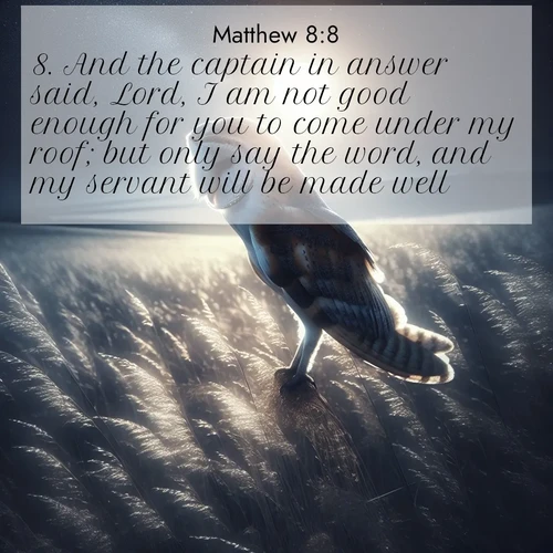 BBE Gospel of Matthew 8:8 overlaying nature image scene: A barn owl quarters silent fields. Moonlight turns meadow grass to silver.;8. And the captain in answer said, Lord, I am not good enough for you to come under my roof; but only say the word, and my servant will be made well.