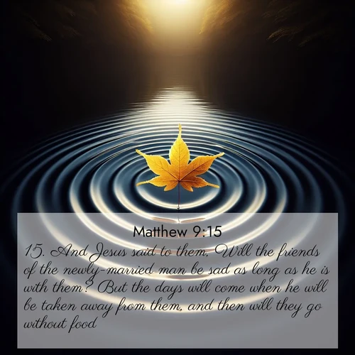 BBE Gospel of Matthew 9:15 overlaying nature image scene: A single maple leaf floats on black water. Concentric ripples spread outward into infinity.;15. And Jesus said to them, Will the friends of the newly-married man be sad as long as he is with them? But the days will come when he will be taken away from them, and then will they go without food.