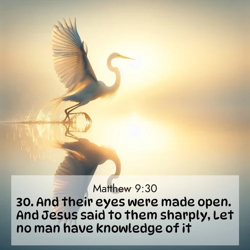 BBE Gospel of Matthew 9:30 overlaying nature image scene: A great egret lifts from mirror-still water. Sunrise sets its wings ablaze.;30. And their eyes were made open. And Jesus said to them sharply, Let no man have knowledge of it.
