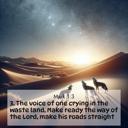 BBE 41 1:3
