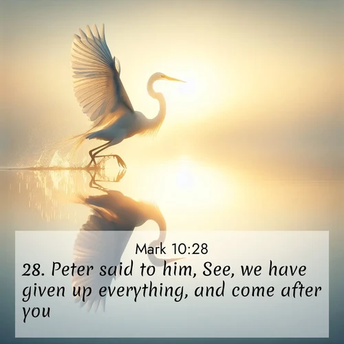 BBE Gospel of Mark 10:28 overlaying nature image scene: A great egret lifts from mirror-still water. Sunrise sets its wings ablaze.;28. Peter said to him, See, we have given up everything, and come after you.
