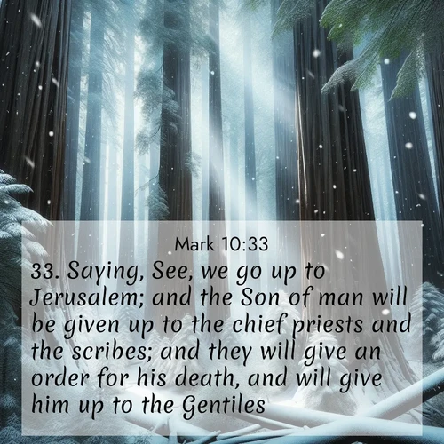 BBE Gospel of Mark 10:33 overlaying nature image scene: Snow falls silently on ancient redwoods. Shafts of light pierce through to illuminate the forest floor.;33. Saying, See, we go up to Jerusalem; and the Son of man will be given up to the chief priests and the scribes; and they will give an order for his death, and will give him up to the Gentiles: