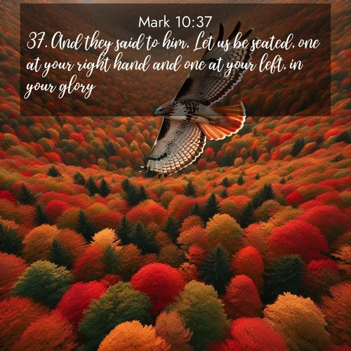 BBE Gospel of Mark 10:37 overlaying nature image scene: A red-tailed hawk circles above autumn woods. Leaves below form a mosaic of fire.;37. And they said to him, Let us be seated, one at your right hand and one at your left, in your glory.