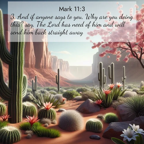 BasicEnglish Gospel of Mark  ; image nature: image with the bible verse :And if anyone says to you, Why are you doing this? say, The Lord has need of him and will send him back straight away. ; Explore a stunning collection of Bible verse images featuring picturesque scenery like sun-drenched meadows, tranquil lakes, and majestic forests. All images are free to download and share. Verses include KJV Gospel of Mark 11:3. Current verse is overlayed with the thematic nature scene : Desert cacti burst with spring blooms against red sandstone formations. ; 11:3