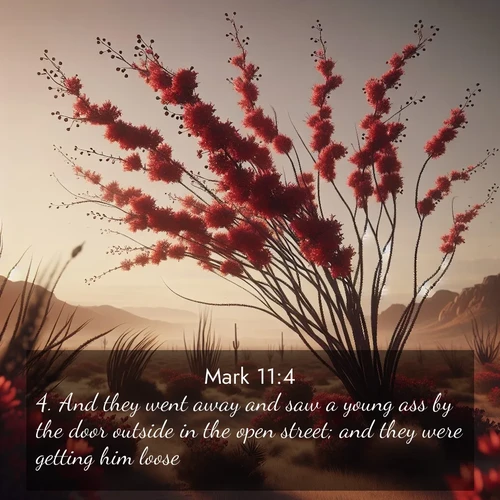 BasicEnglish Gospel of Mark  ; image nature: image with the bible verse :And they went away and saw a young ass by the door outside in the open street; and they were getting him loose. ; Explore our vast collection of images featuring beautifully illustrated Bible verses accompanied by nature photos. Discover inspiring and motivating verses paired with soothing landscapes, like shimmering lakes, majestic mountains, and lush forests. Our images highlight the peaceful beauty of God&#039;s creation with vibrant colors and varied fonts. Download and share verse images like KJV Gospel of Mark 11:4. Current verse is overlayed with the thematic nature scene : Desert ocotillo flames crimson red. Wind sings through thorny branches. ; 11:4