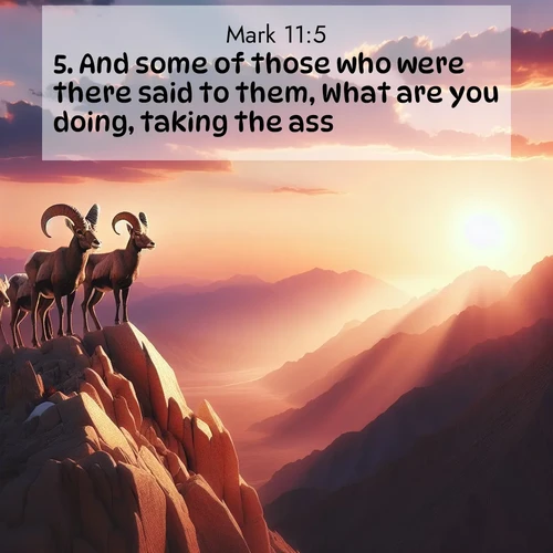 BasicEnglish Gospel of Mark  ; image nature: image with the bible verse :And some of those who were there said to them, What are you doing, taking the ass? ; Browse an inspiring gallery of Bible verse images with nature photos, such as blooming gardens, golden deserts, and shaded forests. The chosen images capture the peaceful and joyful essence of God&#039;s creation, with vibrant colors and harmonious fonts. Share verses like KJV Gospel of Mark 11:5. Current verse is overlayed with the thematic nature scene : Desert bighorns pause on a knife-edge ridge. Sunset paints their horns in gold. ; 11:5