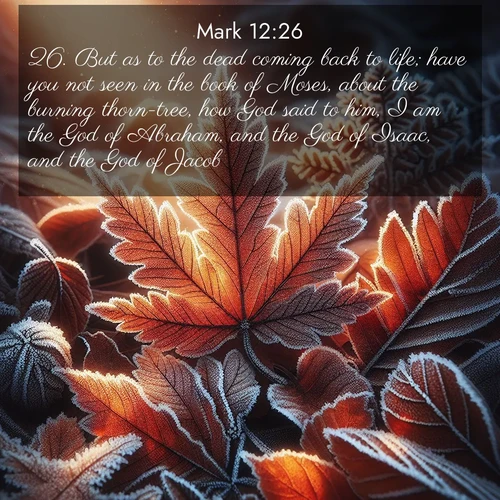 BasicEnglish Gospel of Mark  ; image nature: image with the bible verse :But as to the dead coming back to life; have you not seen in the book of Moses, about the burning thorn-tree, how God said to him, I am the God of Abraham, and the God of Isaac, and the God of Jacob? ; Download Bible verse images featuring vibrant photos of nature, from snowy landscapes to golden deserts. These free images are perfect for phone wallpapers, desktop backgrounds, or sharing. Verses include KJV Gospel of Mark 12:26. Current verse is overlayed with the thematic nature scene : Autumn frost rims fallen leaves with crystal. ; 12:26