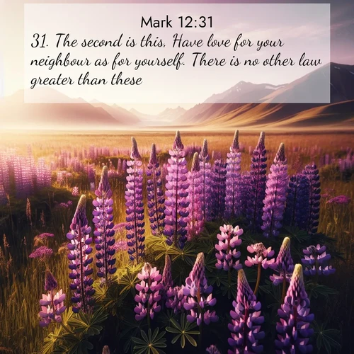 BasicEnglish Gospel of Mark  ; image nature: image with the bible verse :The second is this, Have love for your neighbour as for yourself. There is no other law greater than these. ; Discover Bible images adorned with spring landscapes, like tulip fields, cherry blossoms, and green hills. These bright scenes symbolize God&#039;s renewal and grace. Download verses like KJV Gospel of Mark 12:31. Current verse is overlayed with the thematic nature scene : Wild lupines paint purple meadows. Snow lingers on distant peaks. ; 12:31