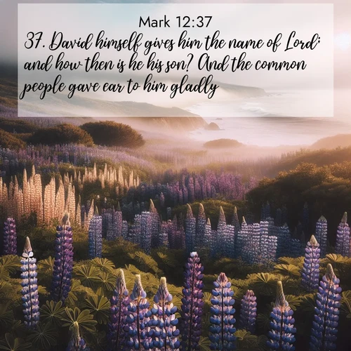BasicEnglish Gospel of Mark  ; image nature: image with the bible verse :David himself gives him the name of Lord; and how then is he his son? And the common people gave ear to him gladly. ; Discover our curated gallery of Bible verse images with breathtaking scenery, from tranquil deserts to lush green pastures. Perfect for phone wallpapers or sharing online. Download verses like KJV Gospel of Mark 12:37. Current verse is overlayed with the thematic nature scene : Wild lupines carpet a coastal meadow. Ocean fog rolls in on silent feet. ; 12:37