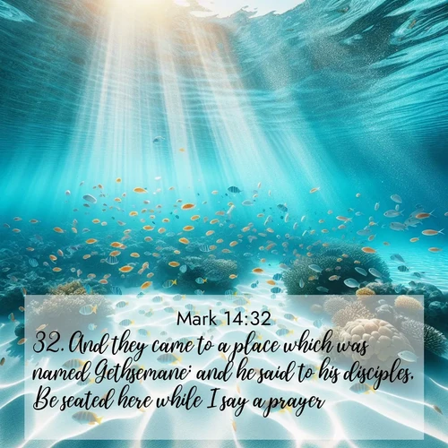 BasicEnglish Gospel of Mark  ; image nature: image with the bible verse :And they came to a place which was named Gethsemane: and he said to his disciples, Be seated here while I say a prayer. ; Explore our gallery of inspiring Bible verse images showcasing divine beauty through nature. Download scenic images like snowy peaks, lush meadows, or radiant sunsets paired with verses like KJV Gospel of Mark 14:32. Current verse is overlayed with the thematic nature scene : Reef fish swirl in perfect formation through crystal waters. Sunlight creates shifting patterns on white sand below. ; 14:32