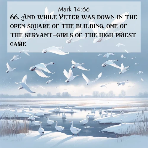 BasicEnglish Gospel of Mark  ; image nature: image with the bible verse :And while Peter was down in the open square of the building, one of the servant-girls of the high priest came; ; Discover a gallery of Bible verse images showcasing the beauty of autumn, with golden leaves, red forests, and peaceful fields bathed in soft light. These soothing scenes are perfect for accompanying inspiring verses like KJV Gospel of Mark 14:66. Current verse is overlayed with the thematic nature scene : Snow geese take flight from a winter marsh. Their wings flash white against leaden skies. ; 14:66