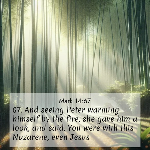 BasicEnglish Gospel of Mark  ; image nature: image with the bible verse :And seeing Peter warming himself by the fire, she gave him a look, and said, You were with this Nazarene, even Jesus. ; Explore a stunning collection of Bible verse images featuring picturesque scenery like sun-drenched meadows, tranquil lakes, and majestic forests. All images are free to download and share. Verses include KJV Gospel of Mark 14:67. Current verse is overlayed with the thematic nature scene : Bamboo forests cast striped shadows while a gentle rain patters on broad leaves. ; 14:67