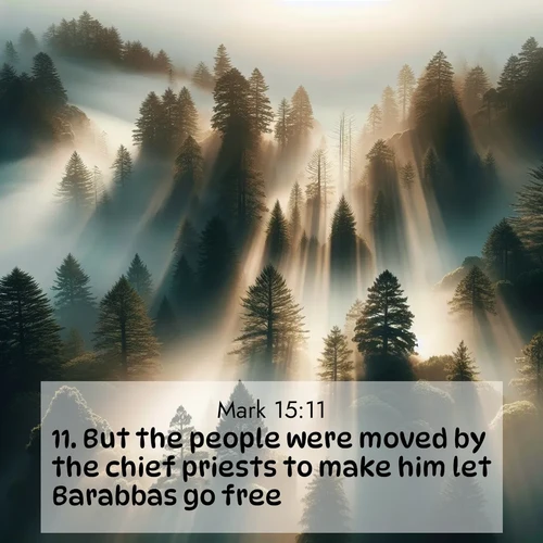 BasicEnglish Gospel of Mark  ; image nature: image with the bible verse :But the people were moved by the chief priests to make him let Barabbas go free. ; Dive into our collection of Bible verse images combined with sublime nature photos, such as graceful waterfalls, radiant sunsets, and endless meadows. These compositions highlight the peace and harmony of God&#039;s creation with vivid colors and carefully integrated text. Download and share verses like KJV Gospel of Mark 15:11. Current verse is overlayed with the thematic nature scene : Coastal redwoods disappear into fog. Filtered sunlight creates divine rays. ; 15:11