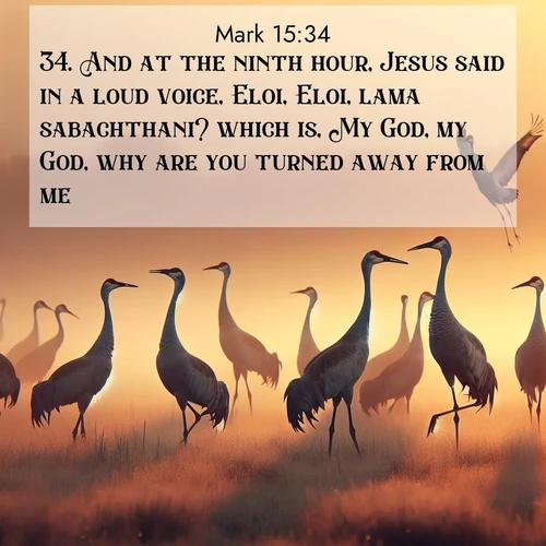 BasicEnglish Gospel of Mark  ; image nature: image with the bible verse :And at the ninth hour, Jesus said in a loud voice, Eloi, Eloi, lama sabachthani? which is, My God, my God, why are you turned away from me? ; Admire Bible images representing autumn, with swirling leaves, misty skies, and vibrant trees. These images inspire profound spiritual reflection. Download and share verses like KJV Gospel of Mark 15:34. Current verse is overlayed with the thematic nature scene : Sandhill cranes dance in morning mist. Their calls echo across the marsh. ; 15:34