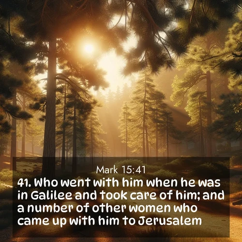 BasicEnglish Gospel of Mark  ; image nature: image with the bible verse :Who went with him when he was in Galilee and took care of him; and a number of other women who came up with him to Jerusalem. ; Browse a vast collection of Bible verse images featuring awe-inspiring landscapes such as calm lakes, vibrant sunsets, and peaceful fields. Download them for free and enjoy verses like KJV Gospel of Mark 15:41. Current verse is overlayed with the thematic nature scene : Summer heat brings out the scent of pine needles. ; 15:41