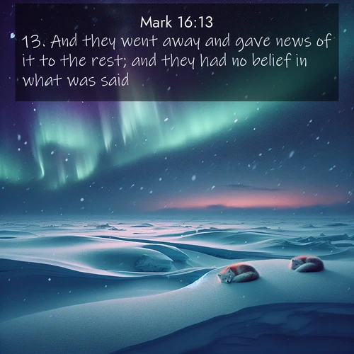 BBE Gospel of Mark 16:13 overlaying nature image scene: Northern lights dance across the frozen tundra in ribbons of green and purple. Snow falls silently on sleeping arctic foxes.;13. And they went away and gave news of it to the rest; and they had no belief in what was said.
