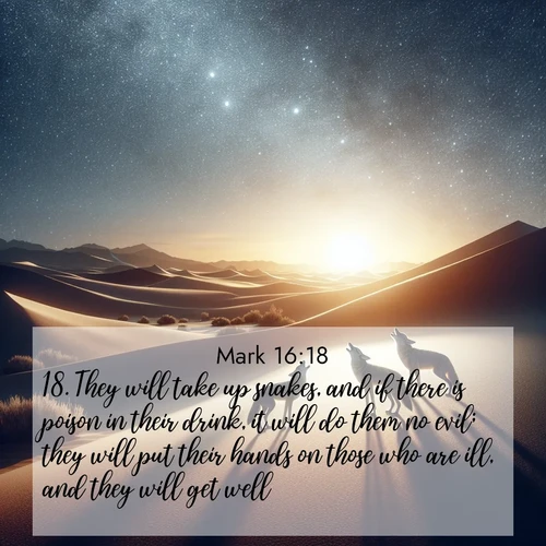 BBE Gospel of Mark 16:18 overlaying nature image scene: Desert coyotes sing to stars. Their voices echo through time.;18. They will take up snakes, and if there is poison in their drink, it will do them no evil; they will put their hands on those who are ill, and they will get well.