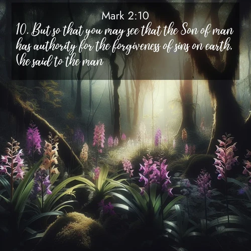 BBE Gospel of Mark 2:10 overlaying nature image scene: Wild orchids bloom in forest shade. Filtered light reveals their grace.;10. But so that you may see that the Son of man has authority for the forgiveness of sins on earth, (he said to the man,)