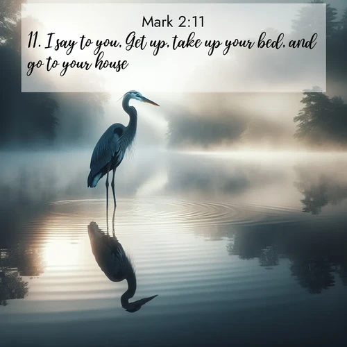 BBE Gospel of Mark 2:11 overlaying nature image scene: A great blue heron stands motionless in morning fog. Ripples spread from its reflection.;11. I say to you, Get up, take up your bed, and go to your house.