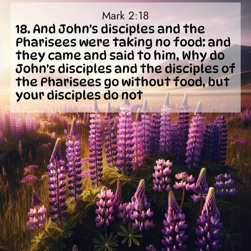 BBE Gospel of Mark 2:18 overlaying nature image scene: Wild lupines paint purple meadows. Snow lingers on distant peaks.;18. And John's disciples and the Pharisees were taking no food: and they came and said to him, Why do John's disciples and the disciples of the Pharisees go without food, but your disciples do not?