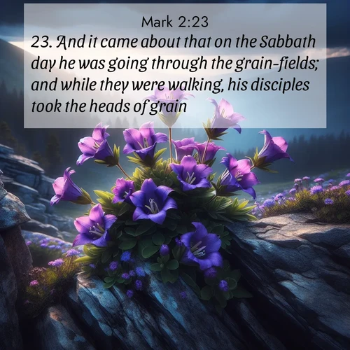 BBE Gospel of Mark 2:23 overlaying nature image scene: Wild gentians bloom in rocky cracks. Summer storms gather above treeline.;23. And it came about that on the Sabbath day he was going through the grain-fields; and while they were walking, his disciples took the heads of grain.