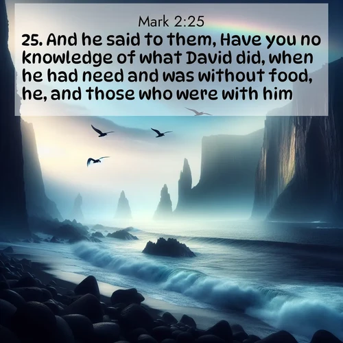 BBE Gospel of Mark 2:25 overlaying nature image scene: Ocean waves crash against volcanic cliffs as seabirds wheel overhead, creating momentary rainbows.;25. And he said to them, Have you no knowledge of what David did, when he had need and was without food, he, and those who were with him?