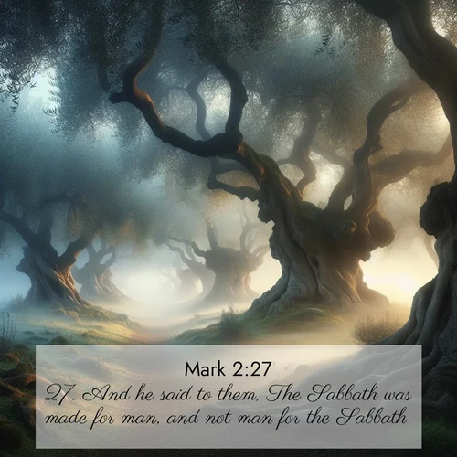 BBE Gospel of Mark 2:27 overlaying nature image scene: Mist rolls through an ancient olive grove at dawn. Each gnarled trunk tells stories of centuries past.;27. And he said to them, The Sabbath was made for man, and not man for the Sabbath;
