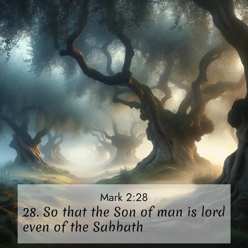 BBE Gospel of Mark 2:28 overlaying nature image scene: Mist rolls through an ancient olive grove at dawn. Each gnarled trunk tells stories of centuries past.;28. So that the Son of man is lord even of the Sabbath.