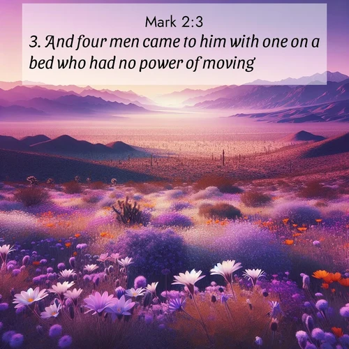 BBE 41 2:3