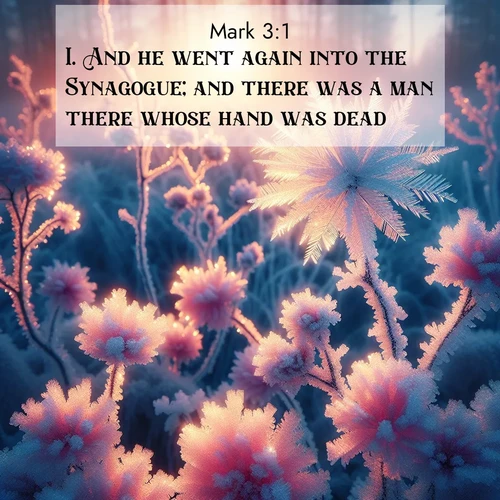 BBE Gospel of Mark 3:1 overlaying nature image scene: Morning light reveals frost flowers. Rainbow crystals bloom on bare branches.;1. And he went again into the Synagogue; and there was a man there whose hand was dead.