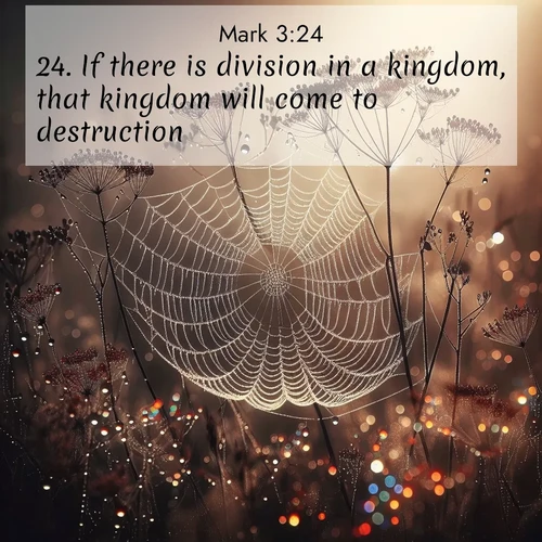 BBE Gospel of Mark 3:24 overlaying nature image scene: Morning fog reveals spider galaxies. Dew drops capture rainbow light.;24. If there is division in a kingdom, that kingdom will come to destruction;
