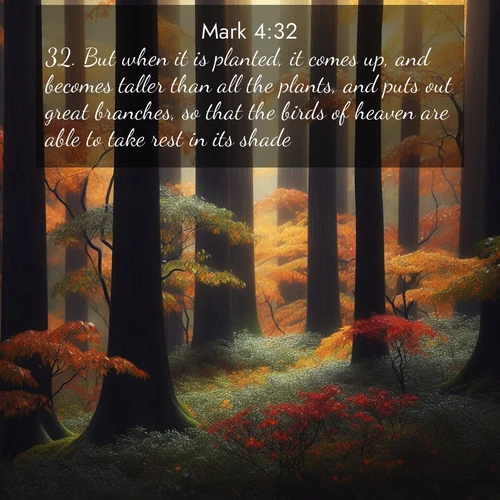BasicEnglish Gospel of Mark  ; image nature: image with the bible verse :But when it is planted, it comes up, and becomes taller than all the plants, and puts out great branches, so that the birds of heaven are able to take rest in its shade. ; Discover beautiful Bible verse images enriched with natural landscapes, from serene beaches to cascading waterfalls. All images are free and ready to download. Share verses such as KJV Gospel of Mark 4:32. Current verse is overlayed with the thematic nature scene : Autumn rain darkens tree trunks in the forest. ; 4:32